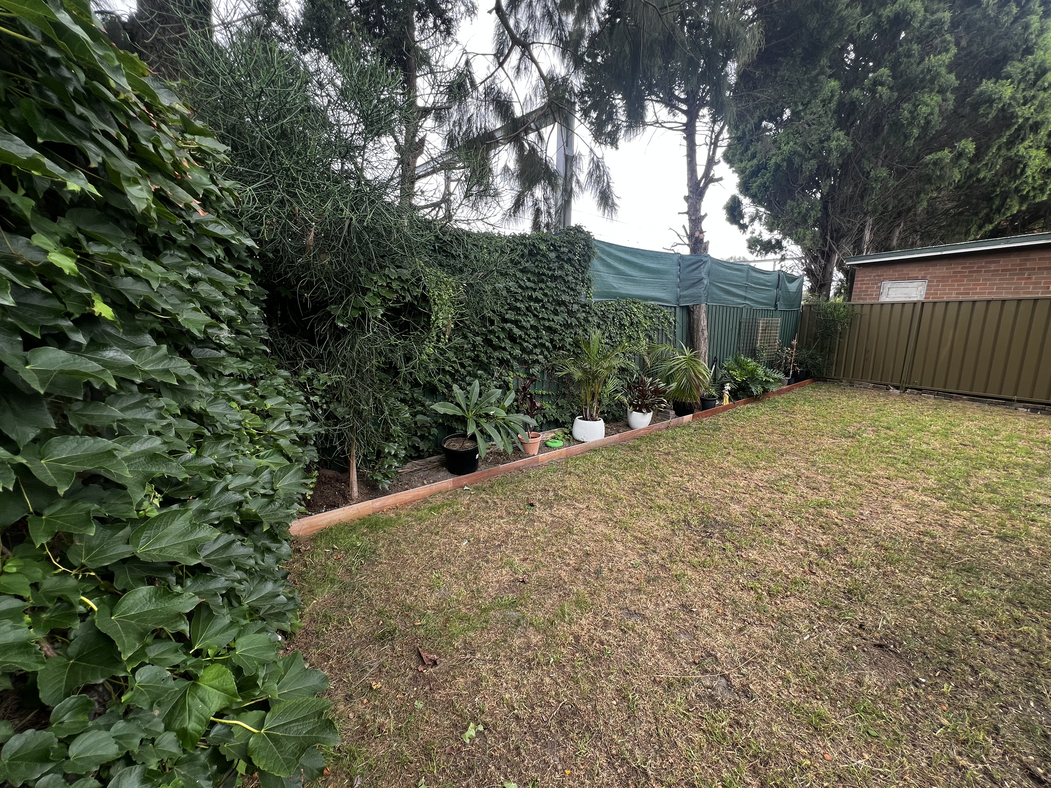 image-19