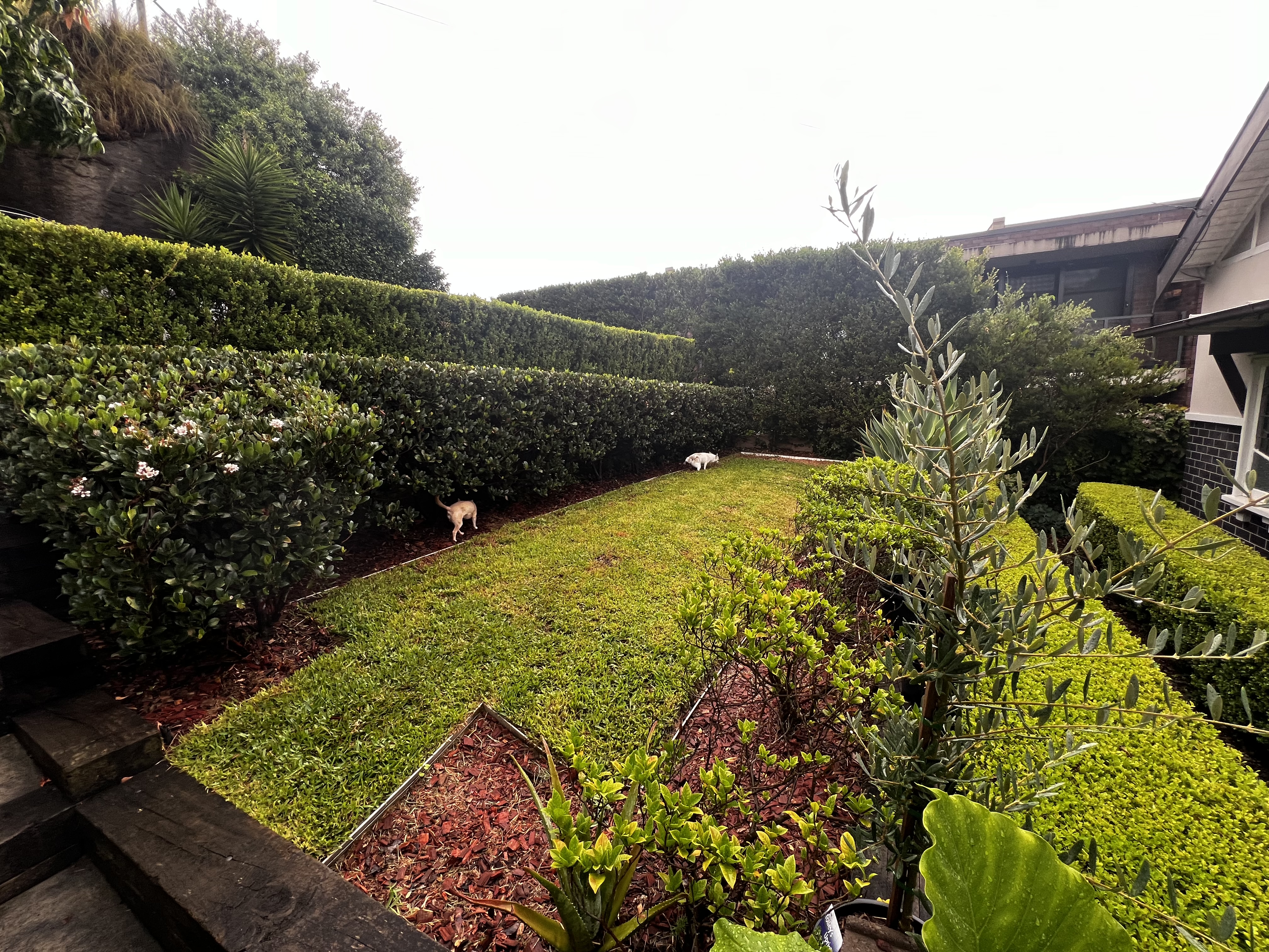 image-13