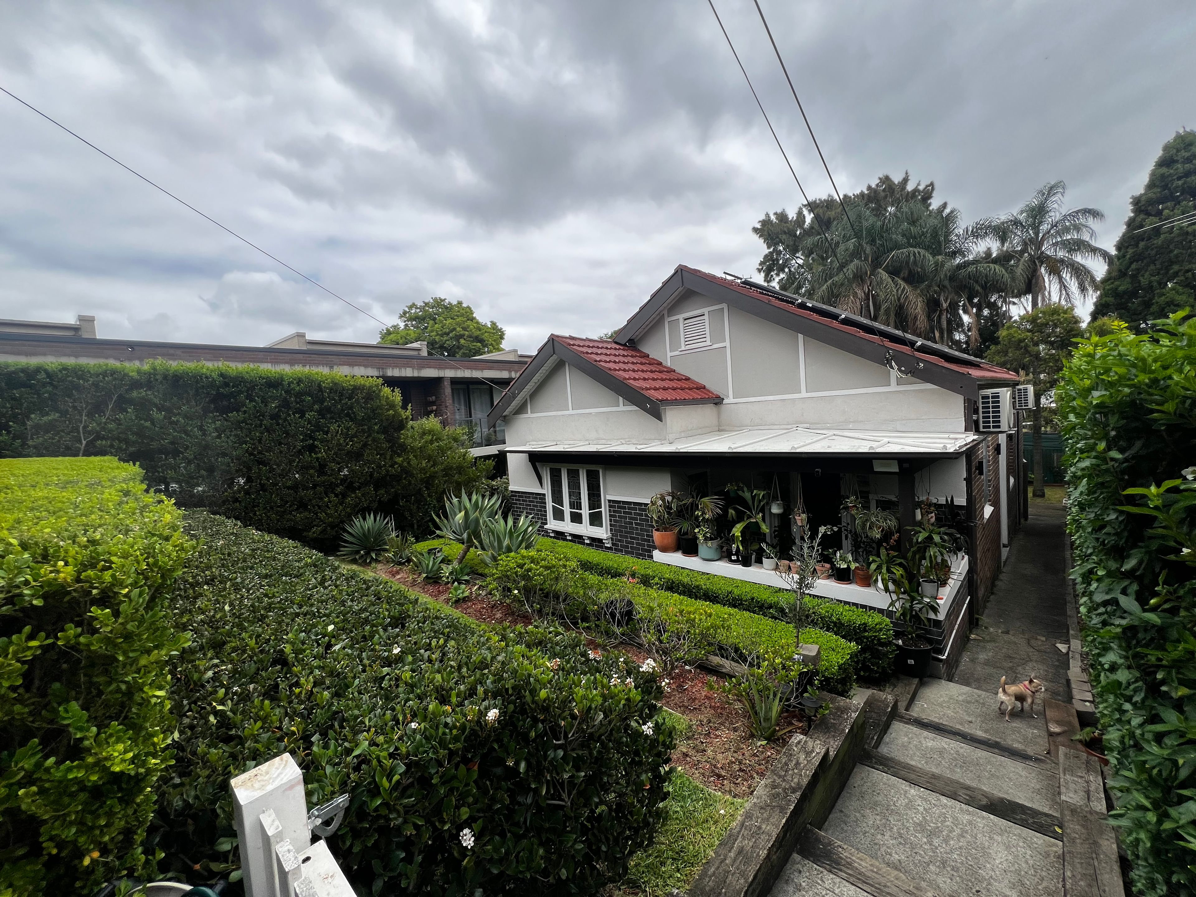 image-18