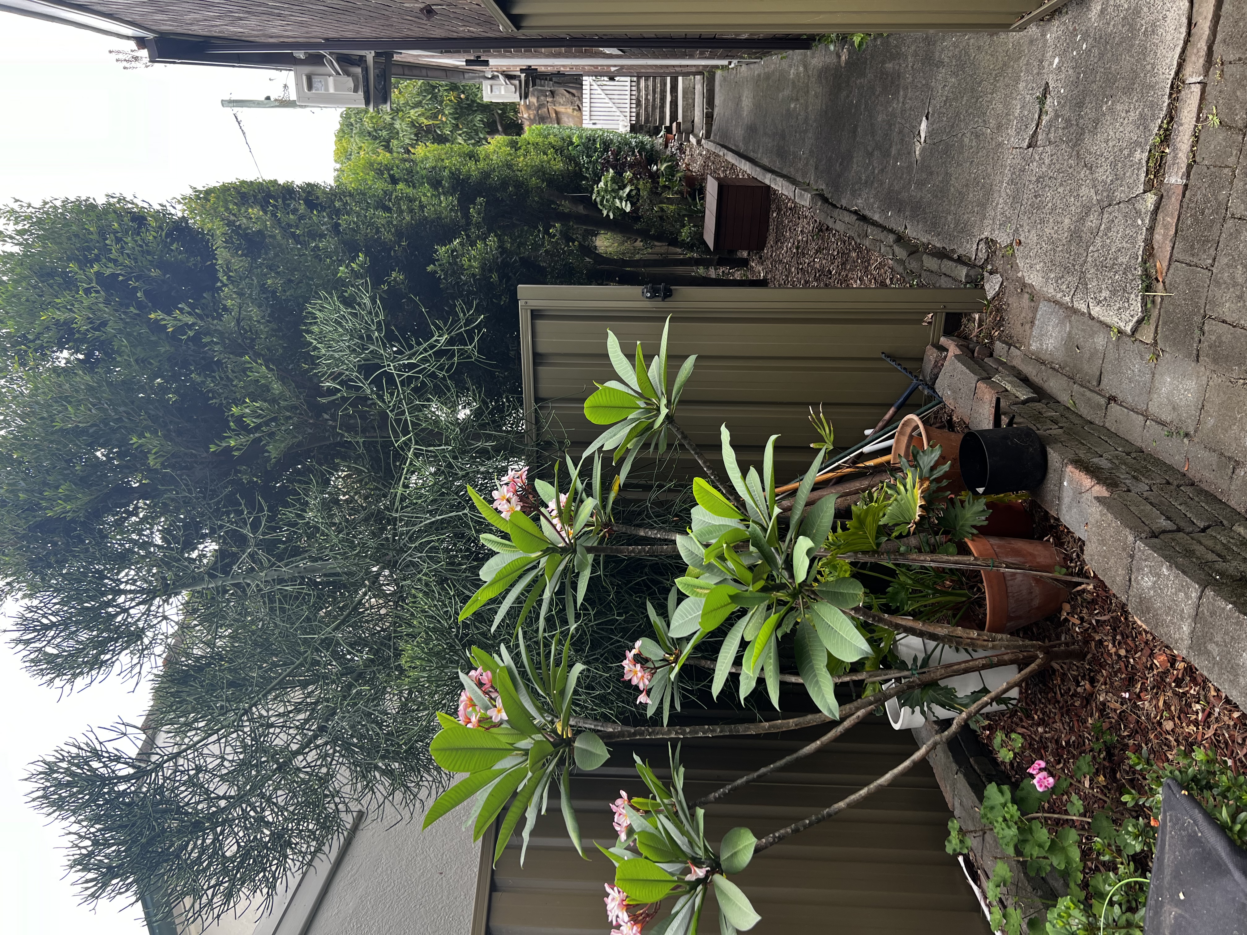 image-21