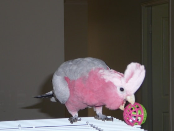 image-8