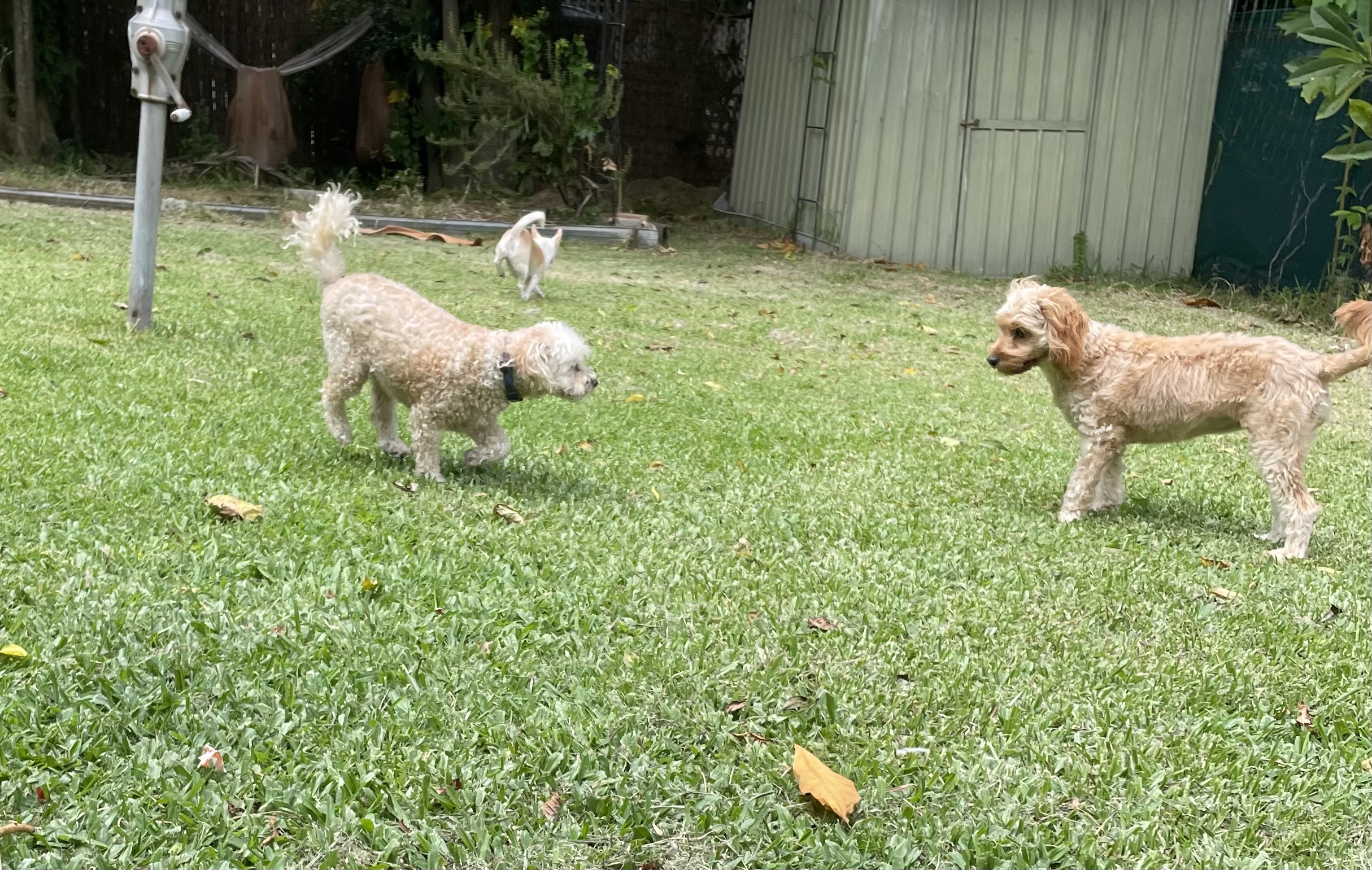 image-37