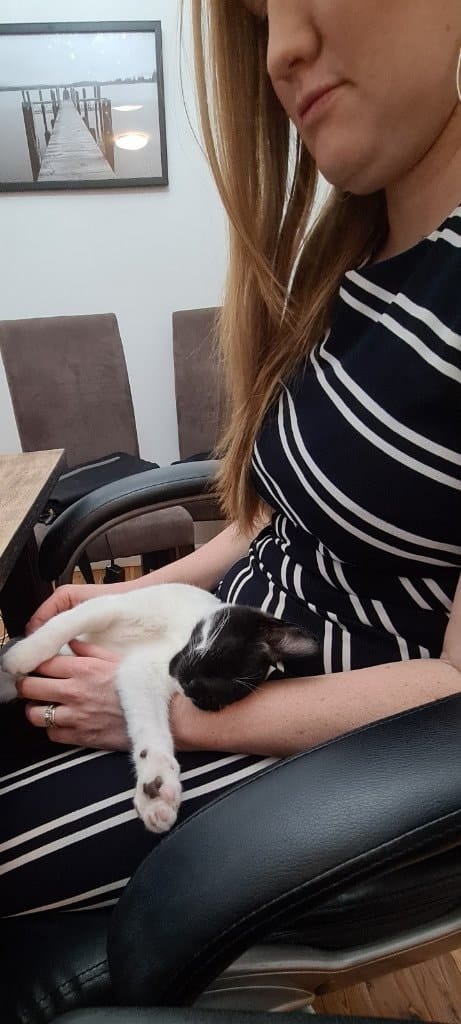 image-4