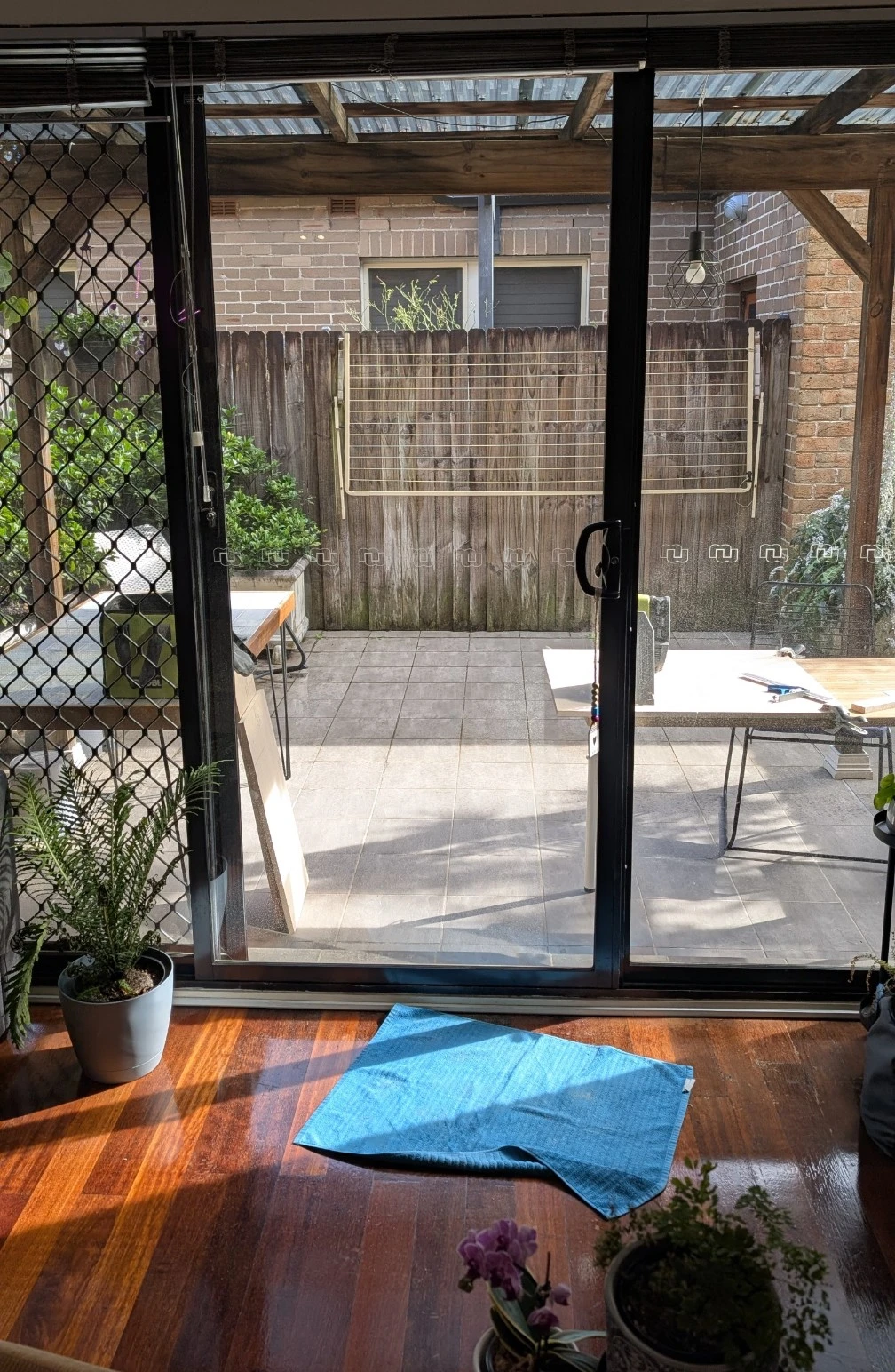 image-15