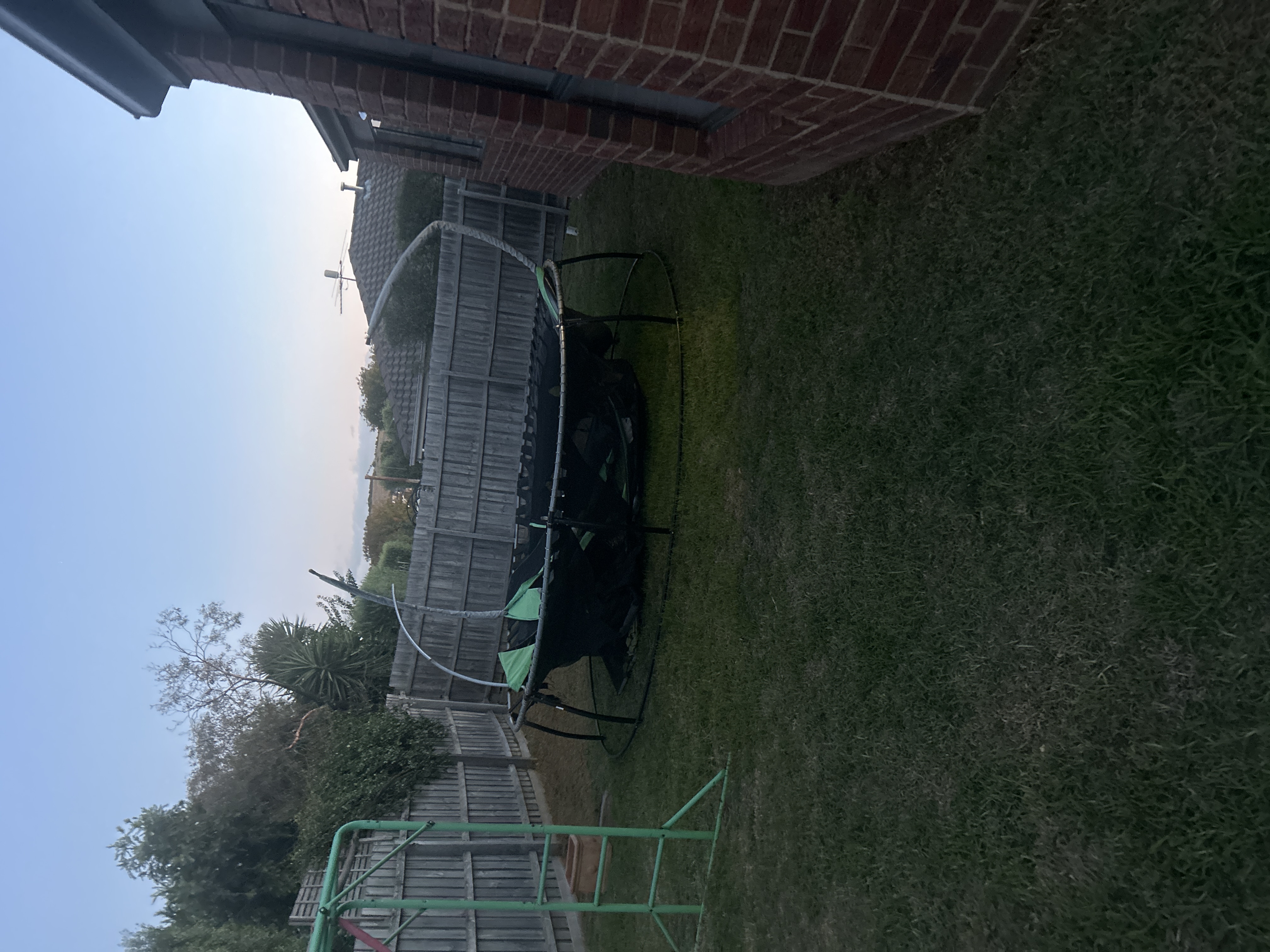 image-7