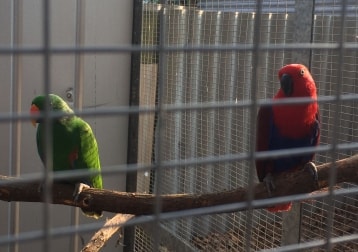 Peggy & peter