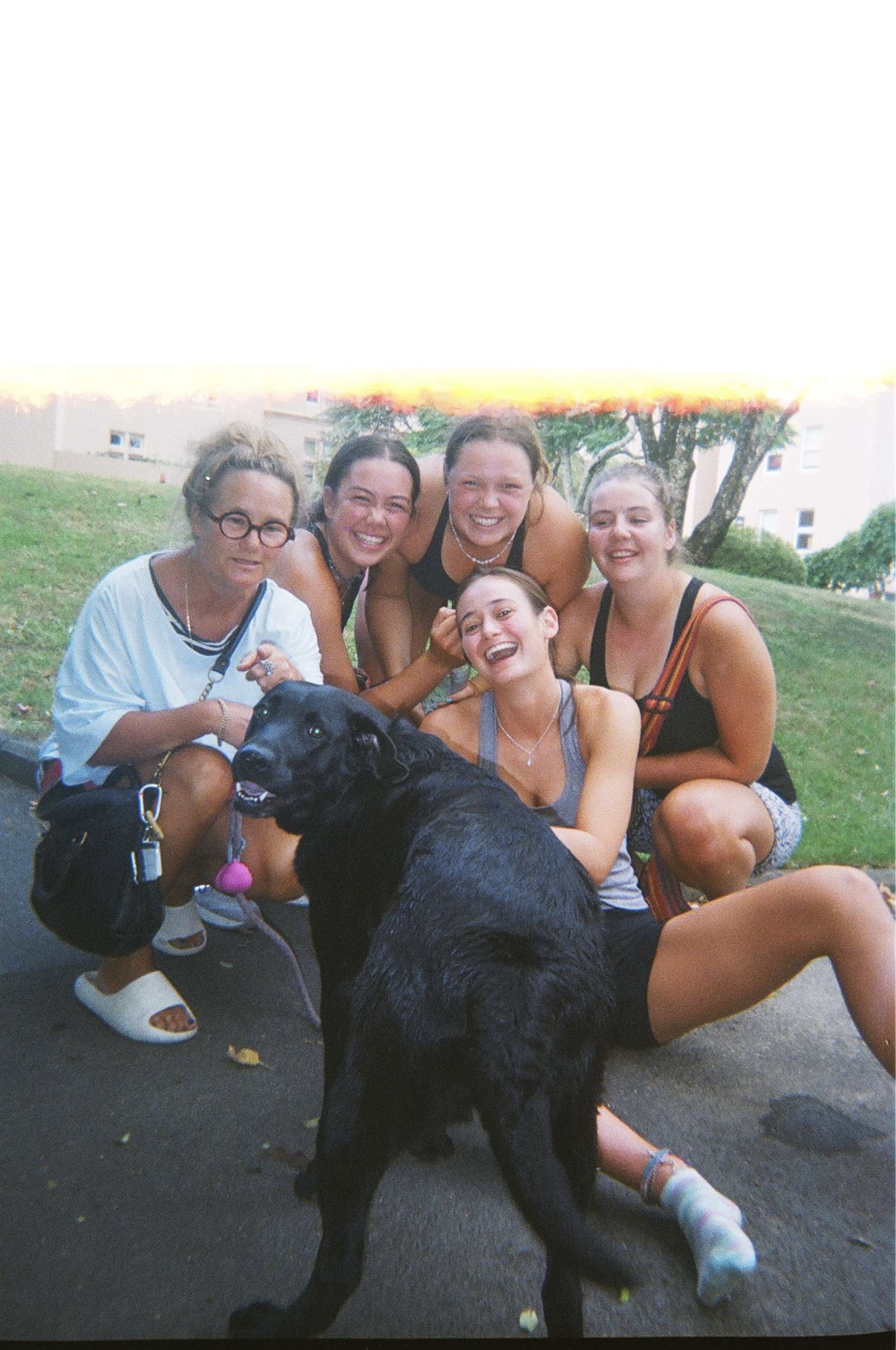 image-11