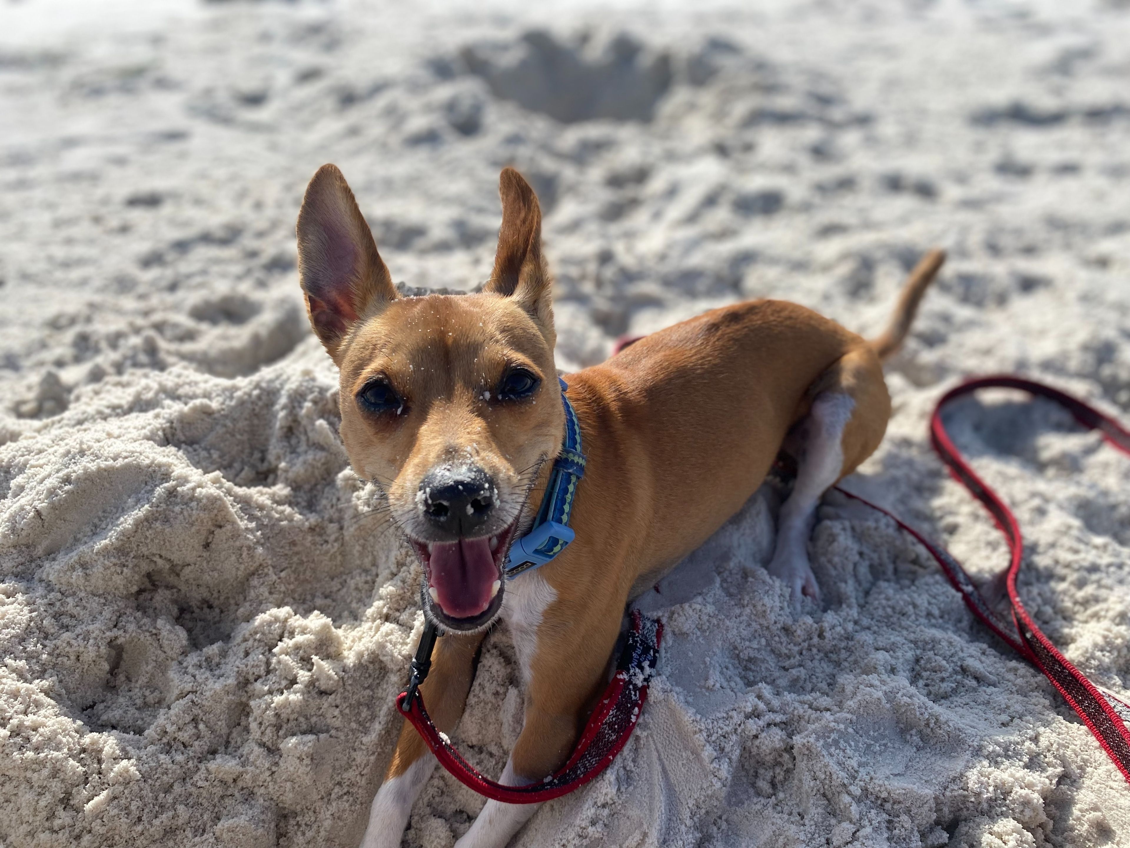 image-2