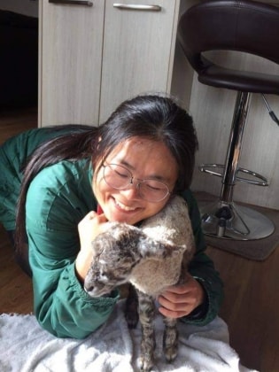 image-10