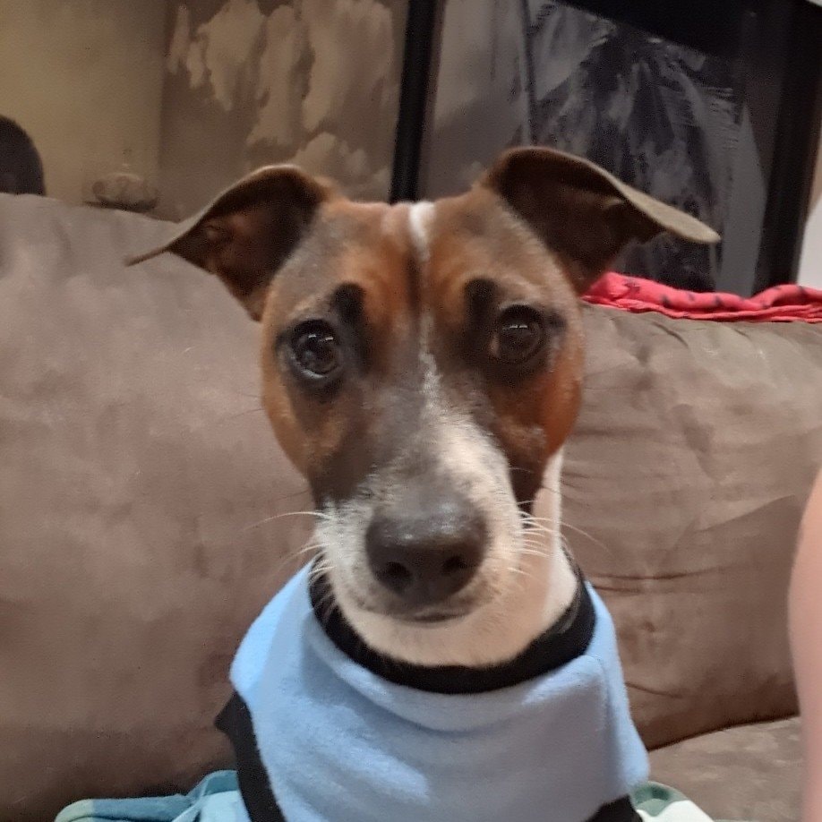 Jack 