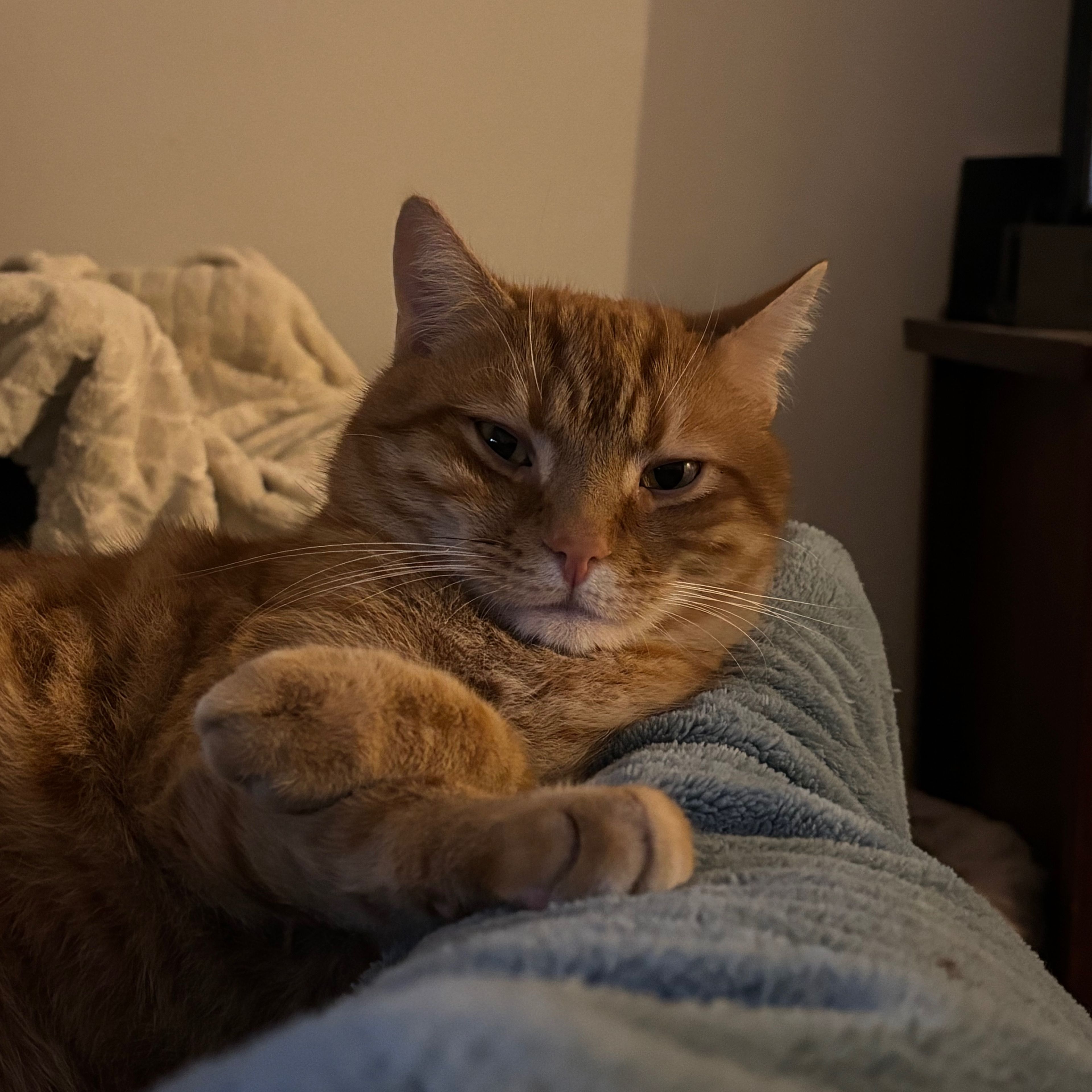 Archie