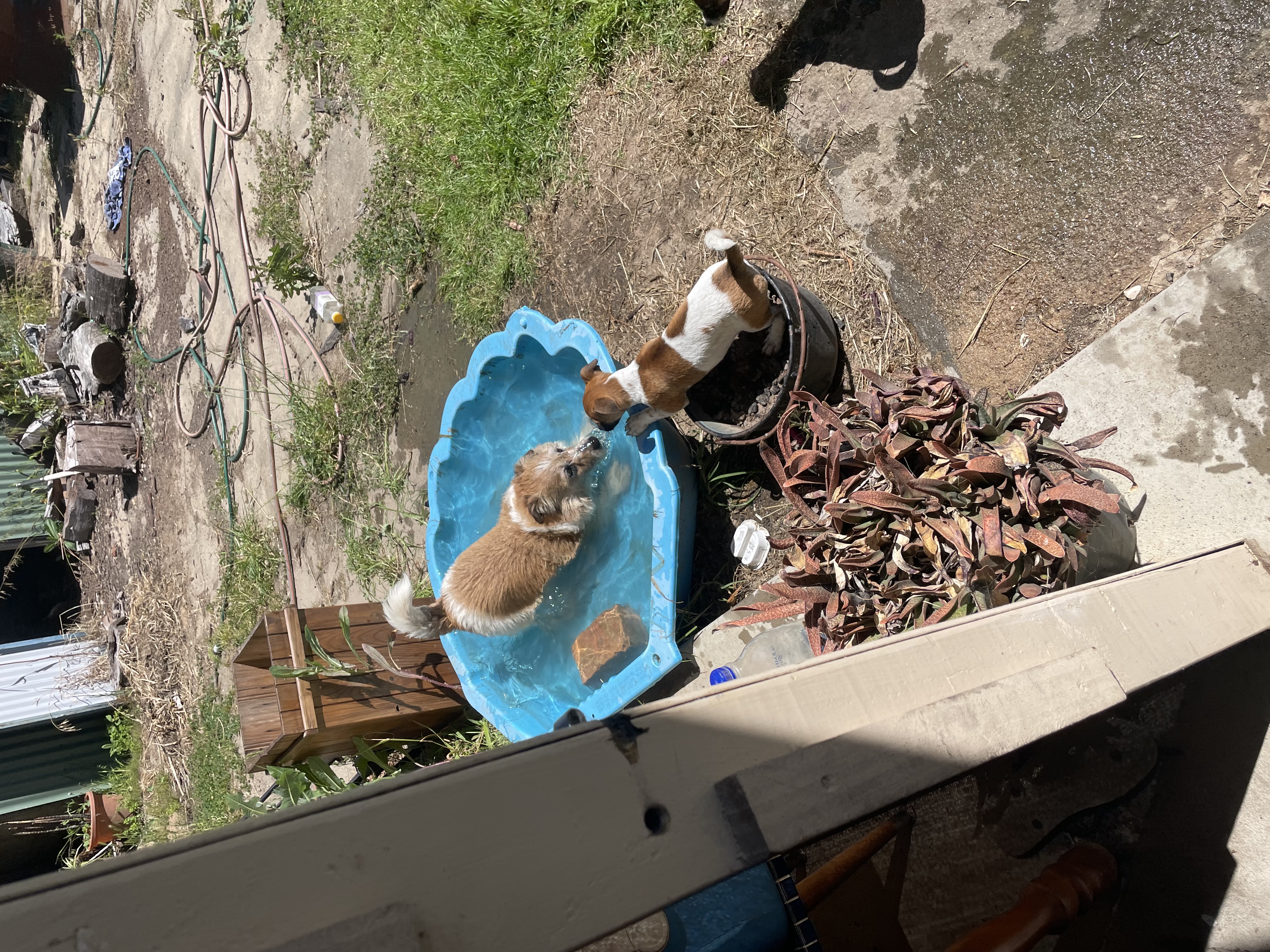 image-5