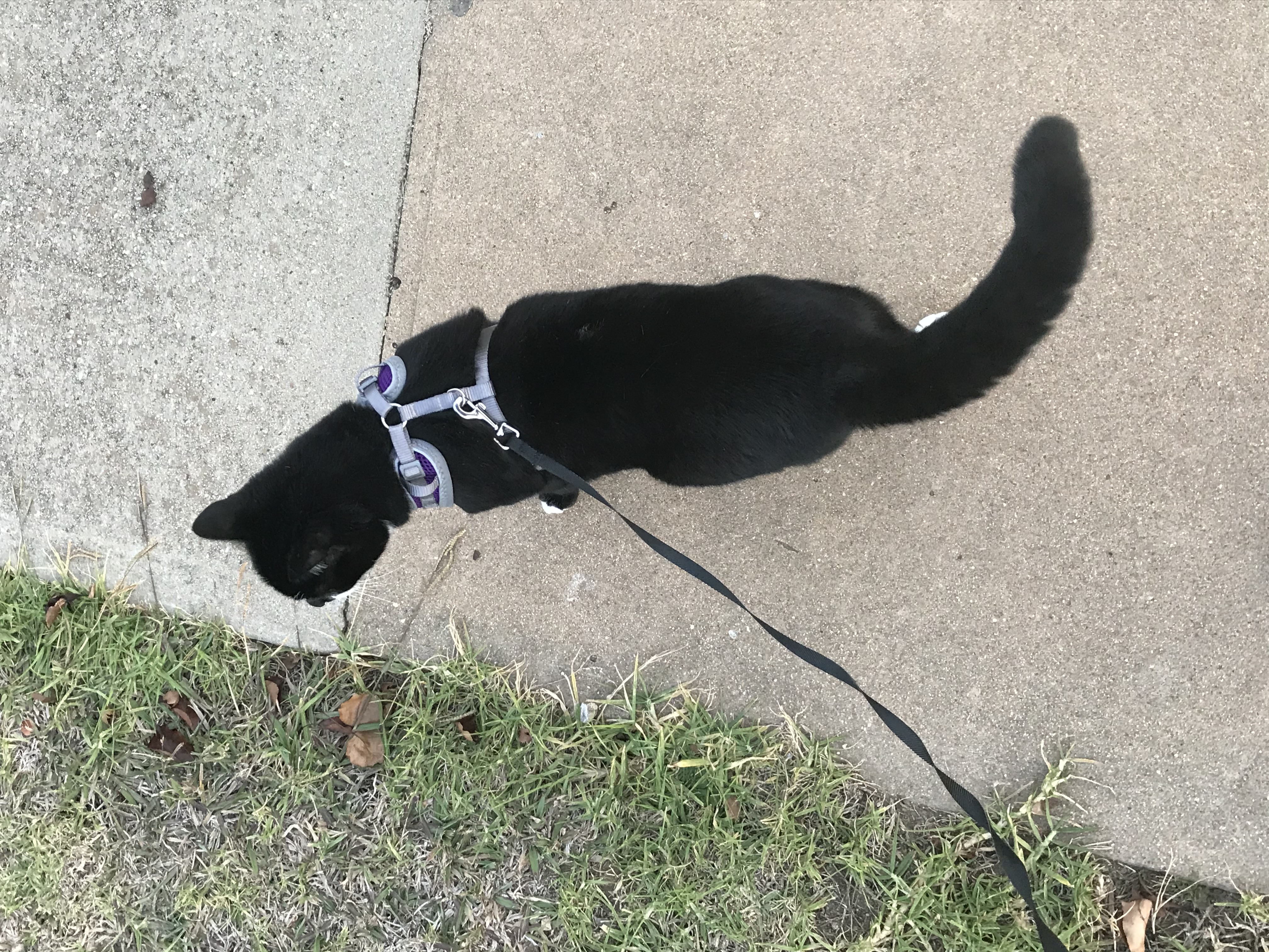 image-2