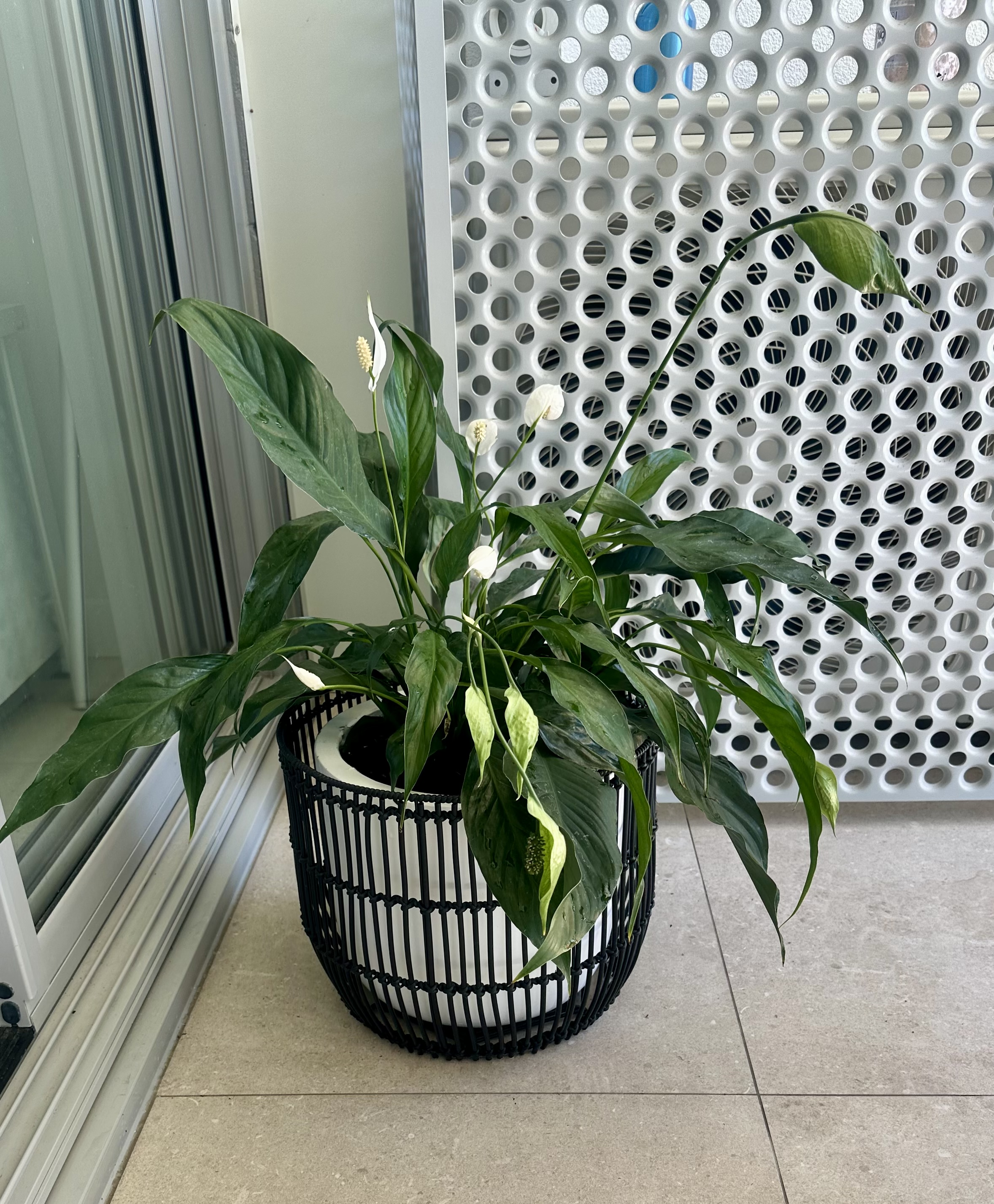 image-17