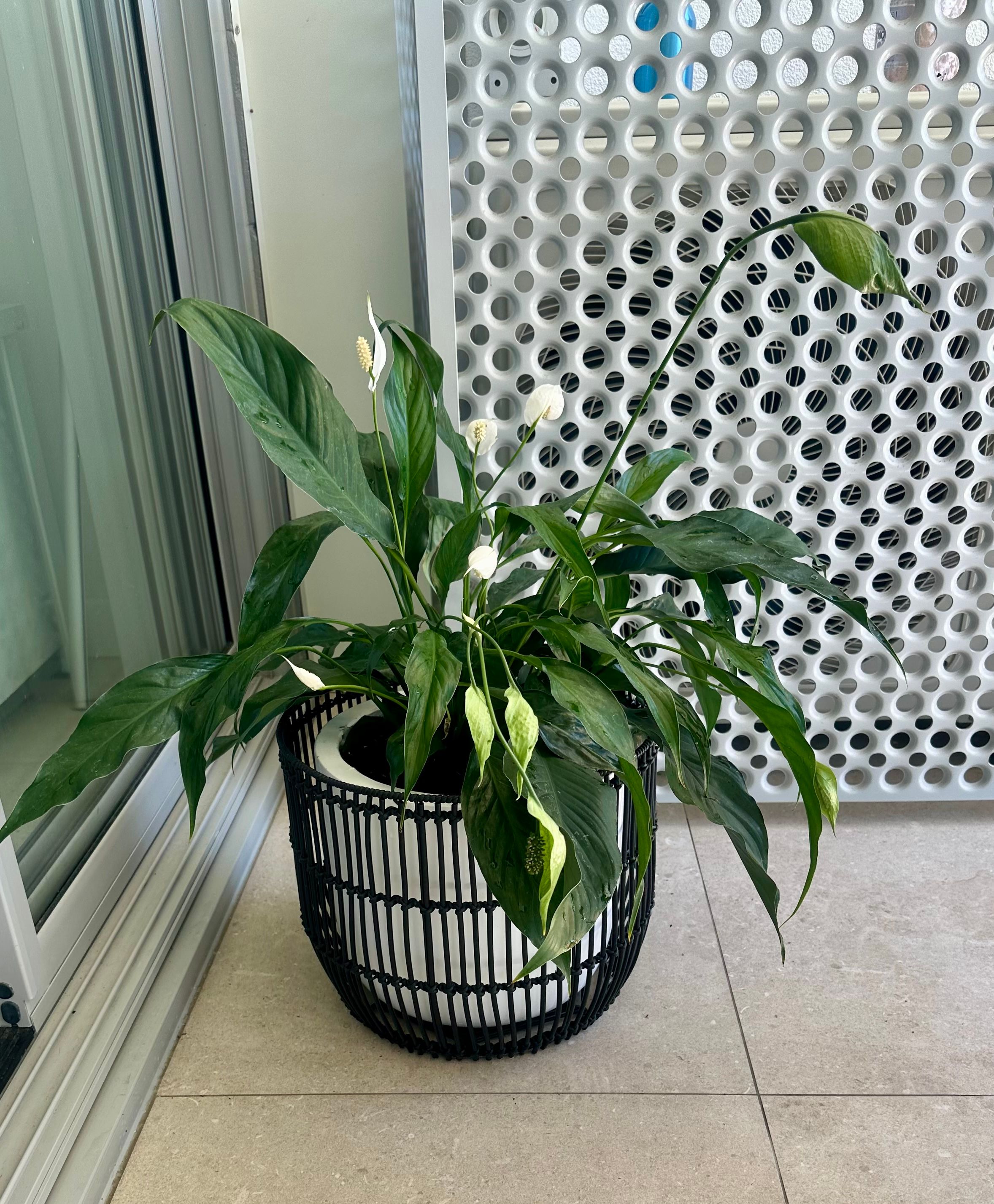 image-17