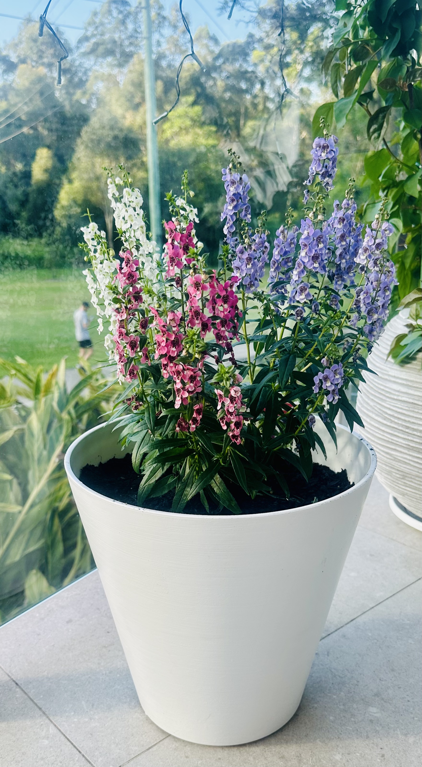 image-18