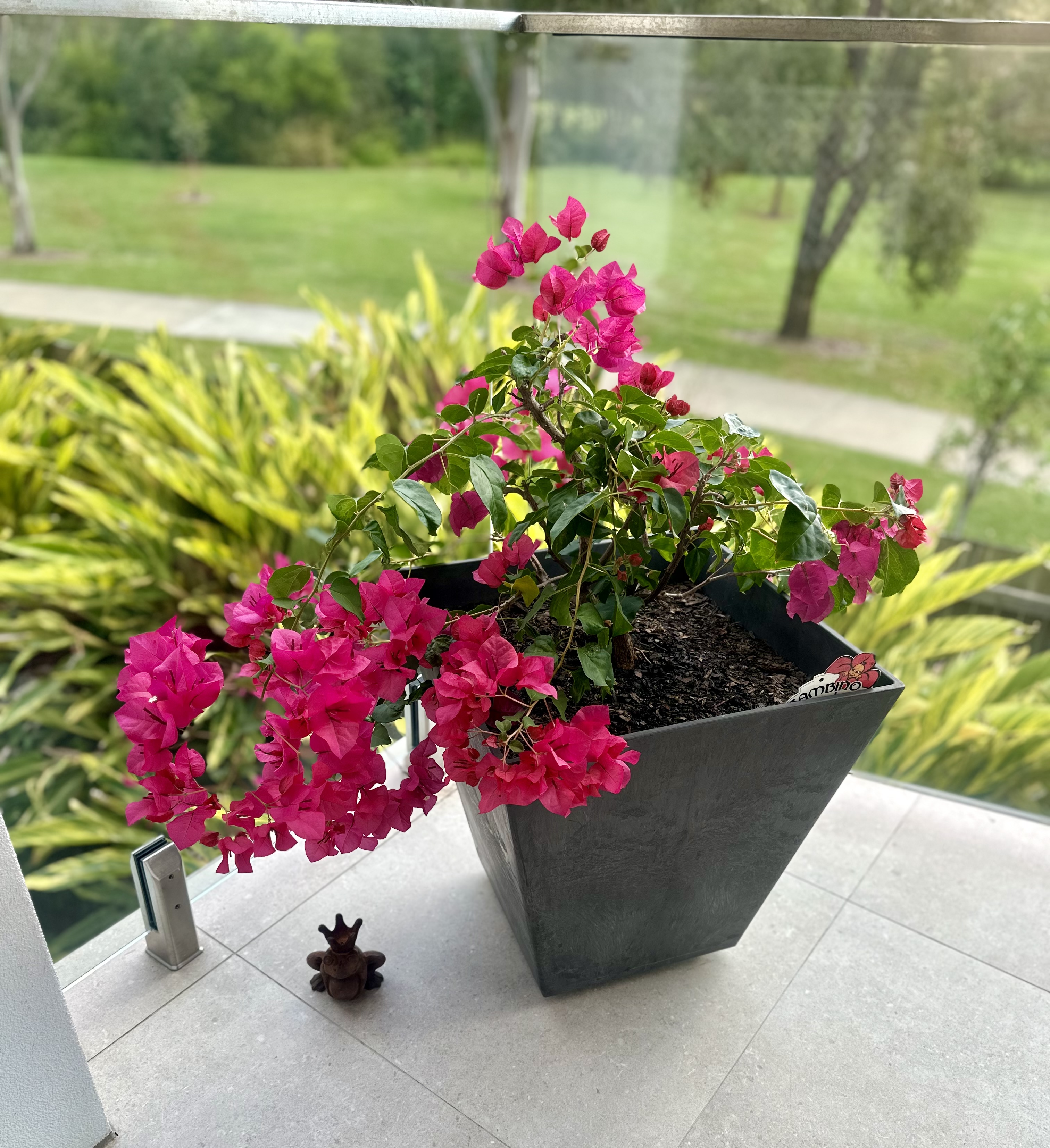 image-16