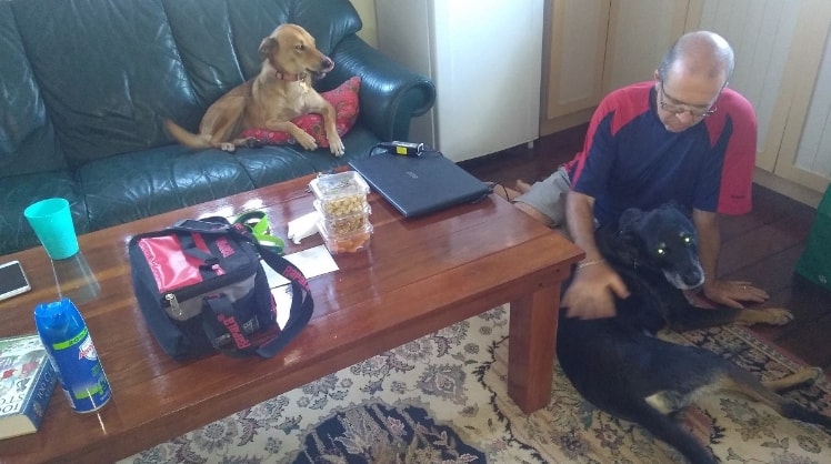 image-3