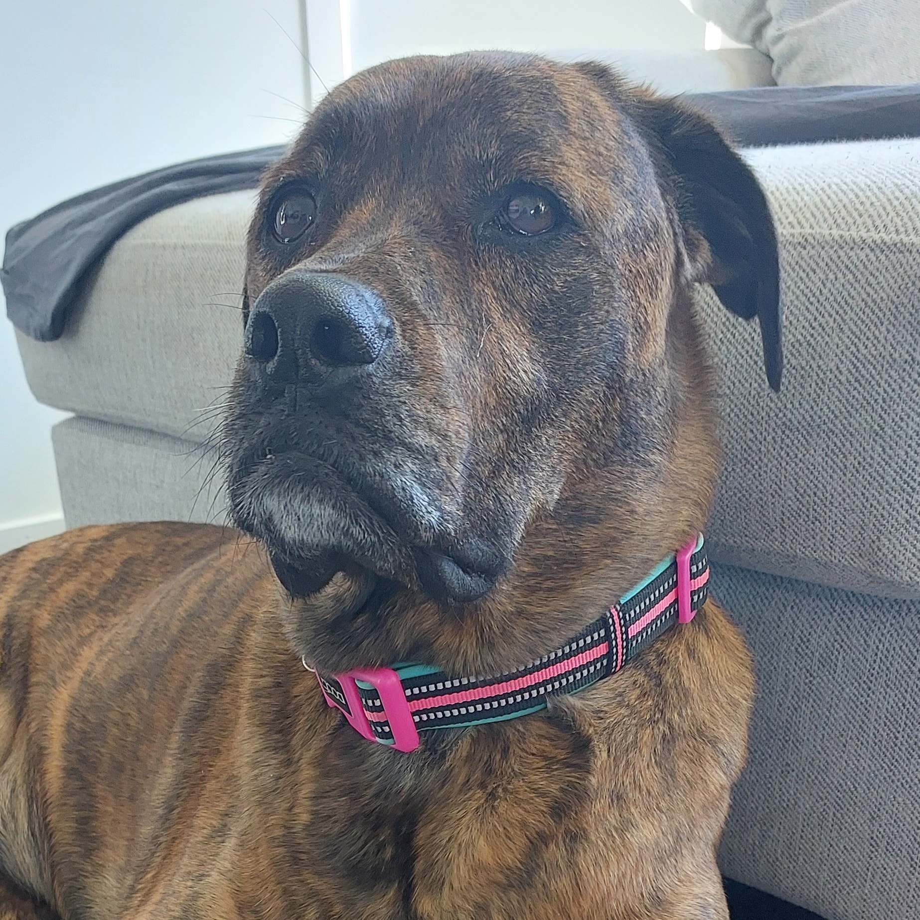 Bruce