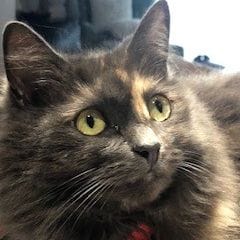 Millie