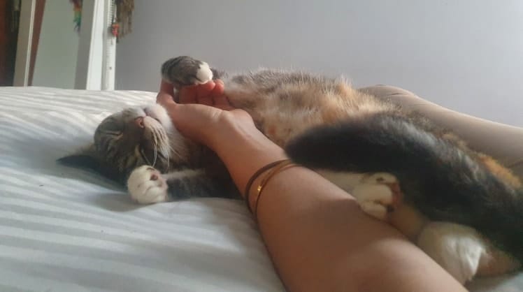 image-5