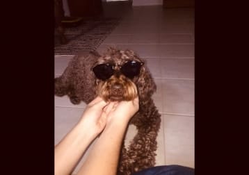 Roxy