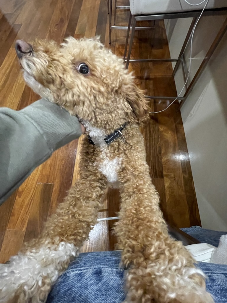 image-5