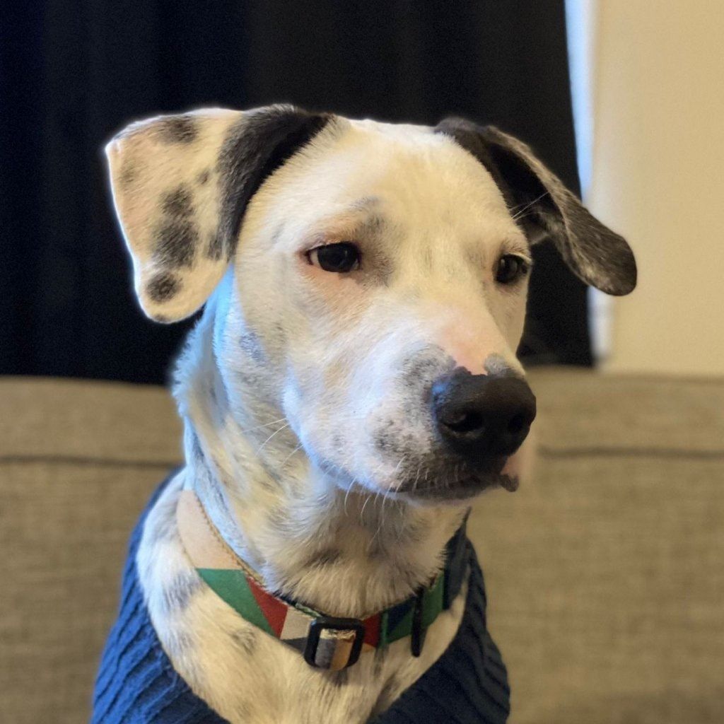 Marty