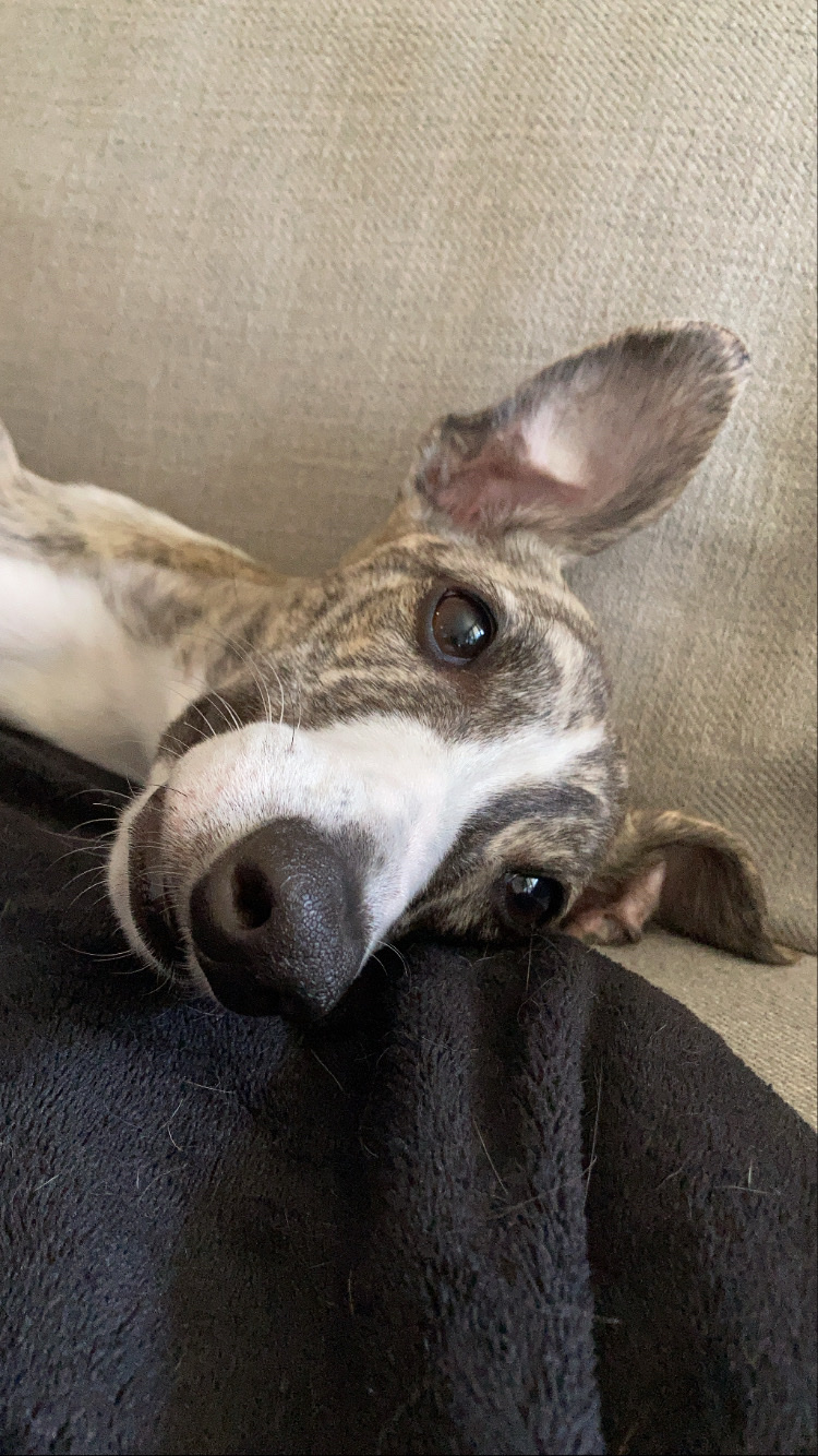 image-17
