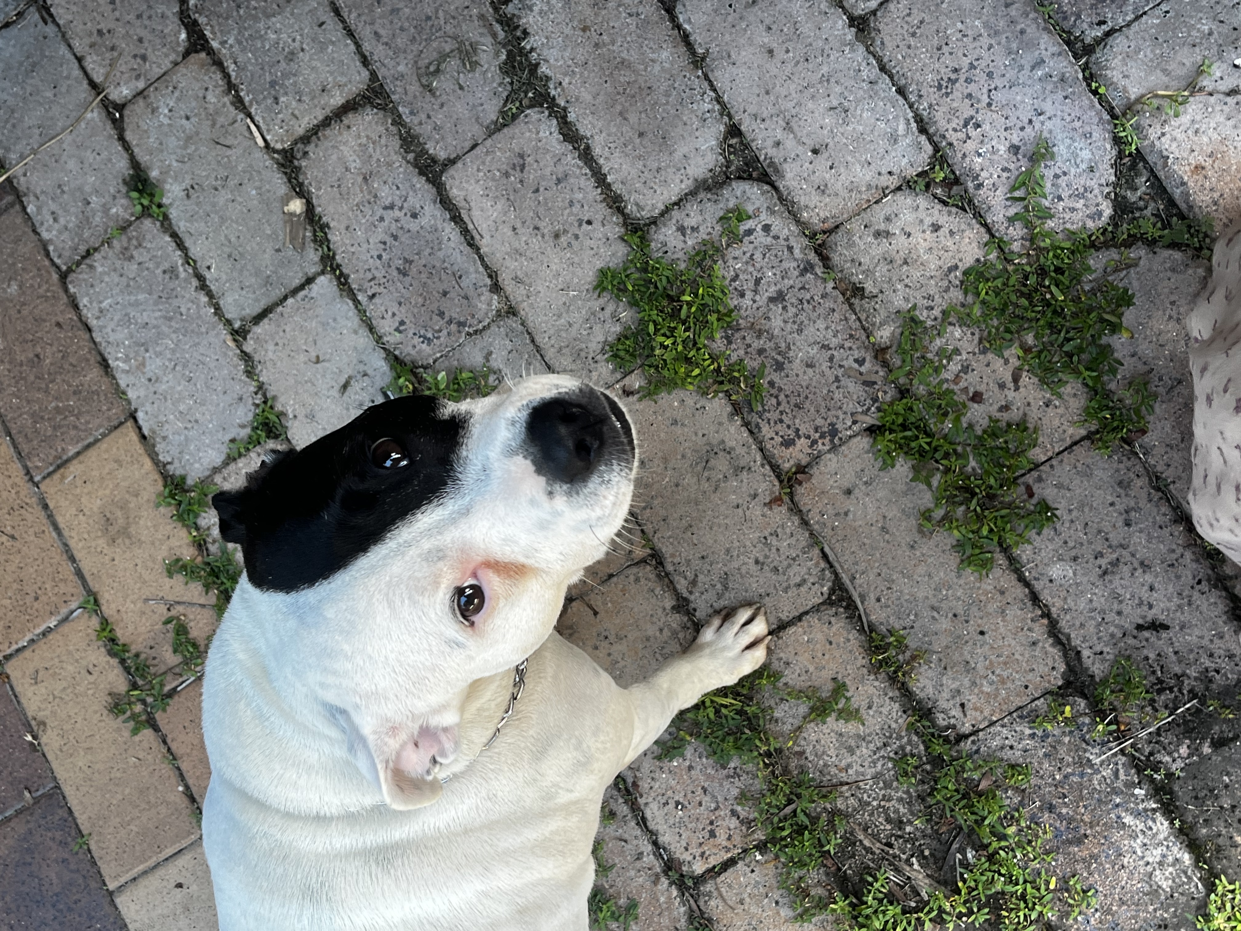 image-8