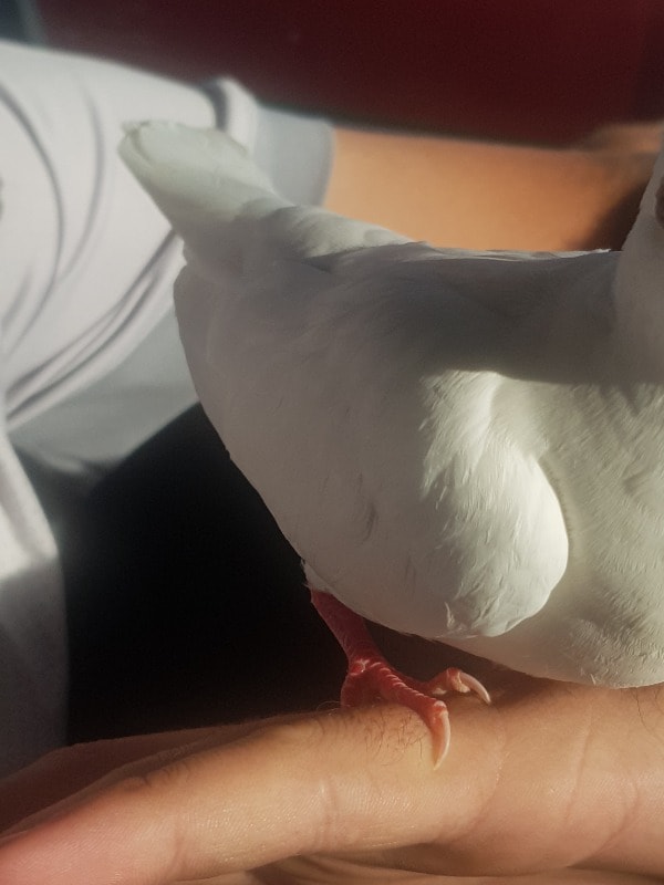image-6