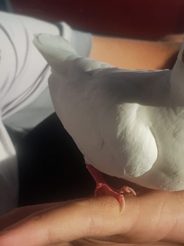 image-6