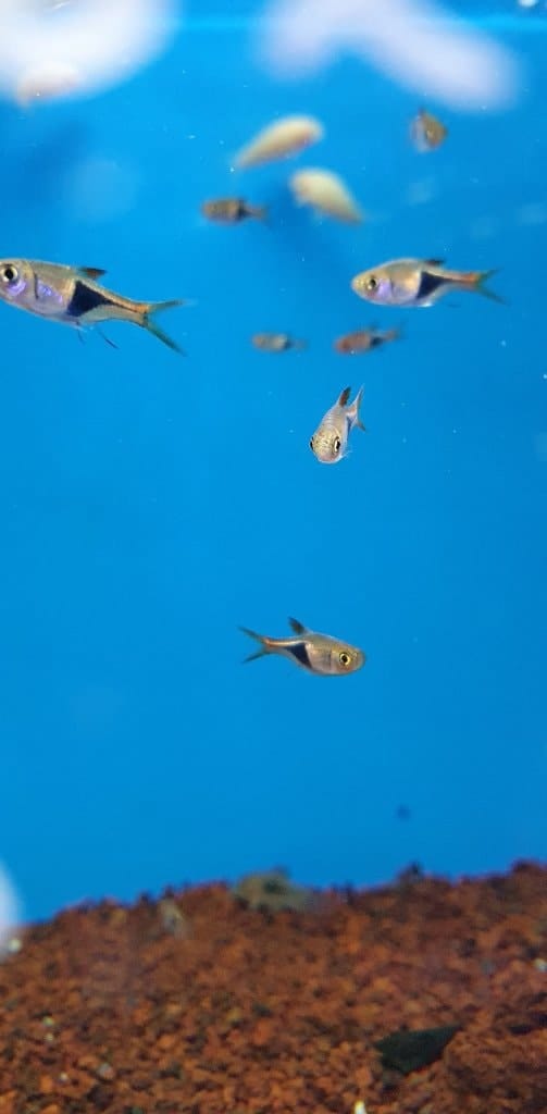 image-49
