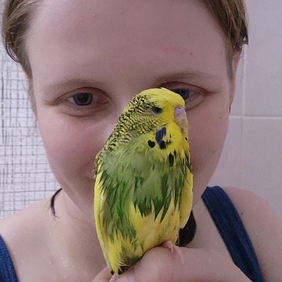 Basil