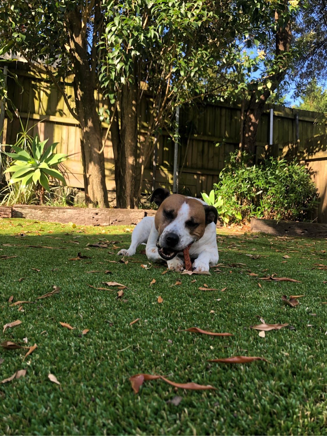 image-88