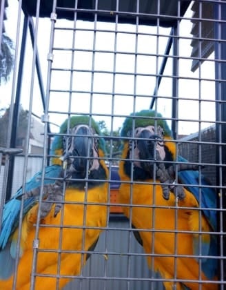 image-5