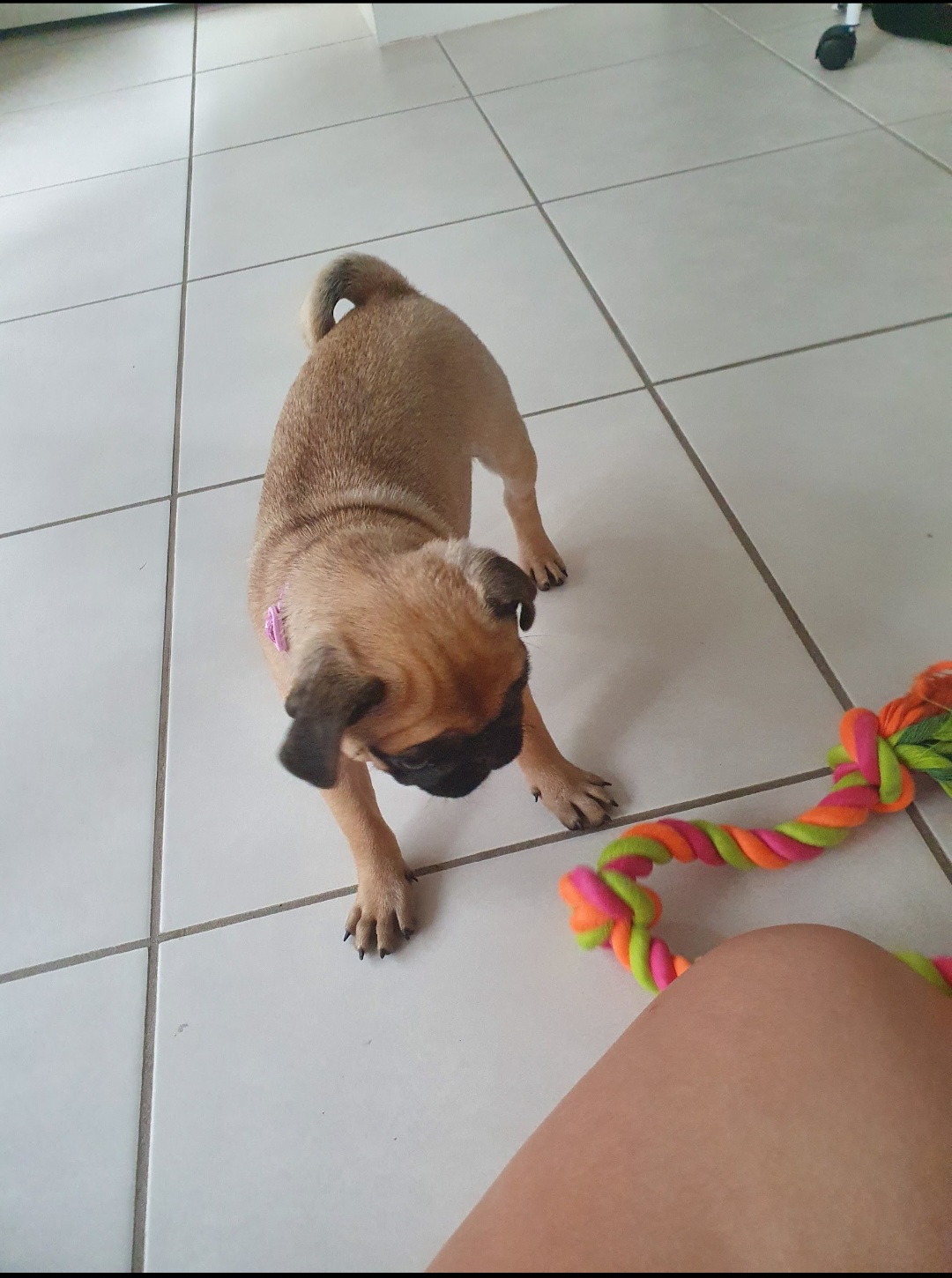 image-7