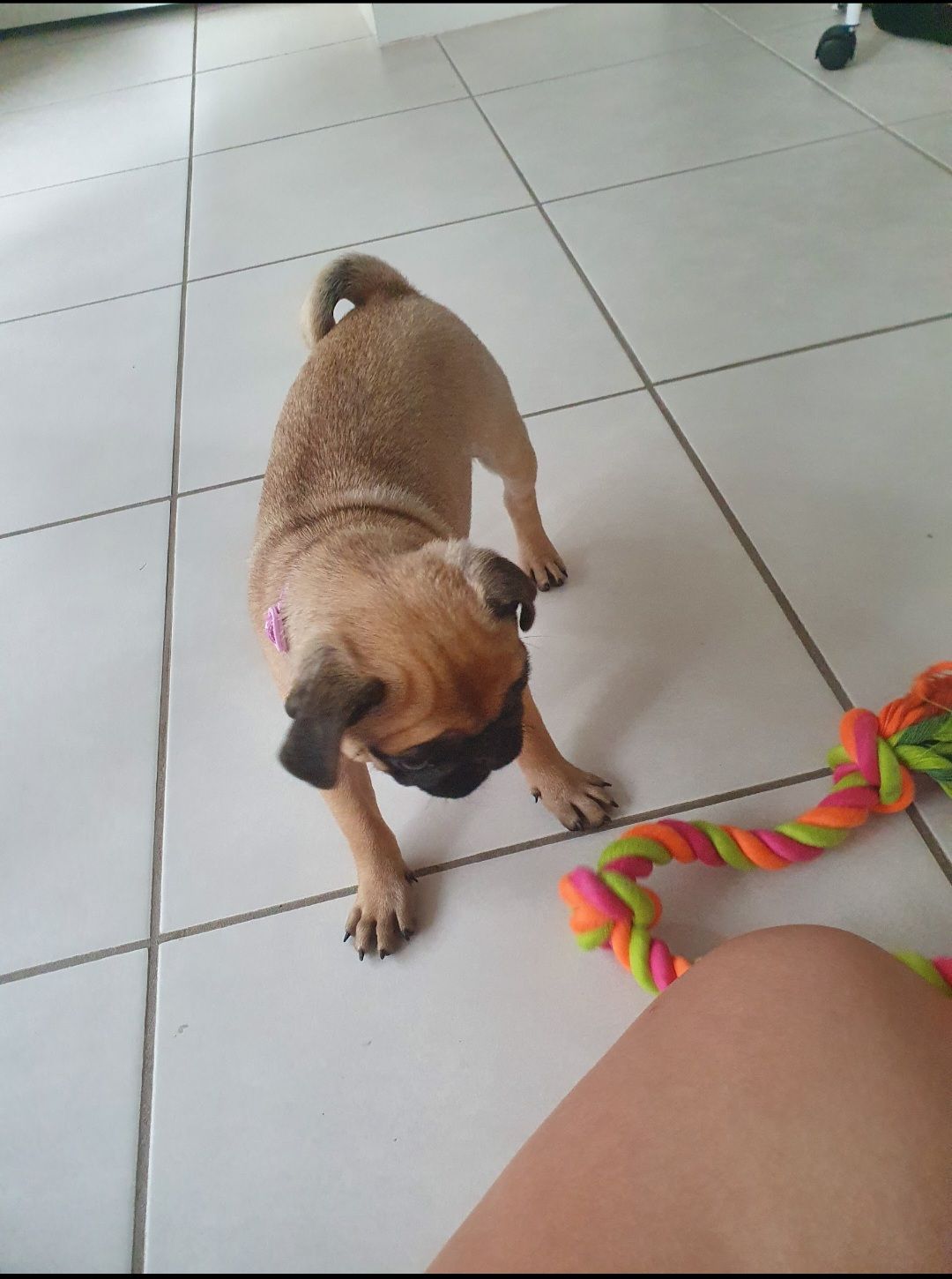 image-7