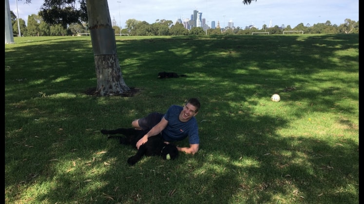 image-12