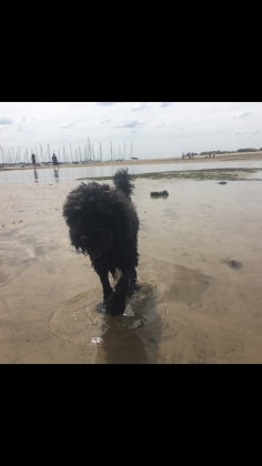 image-6