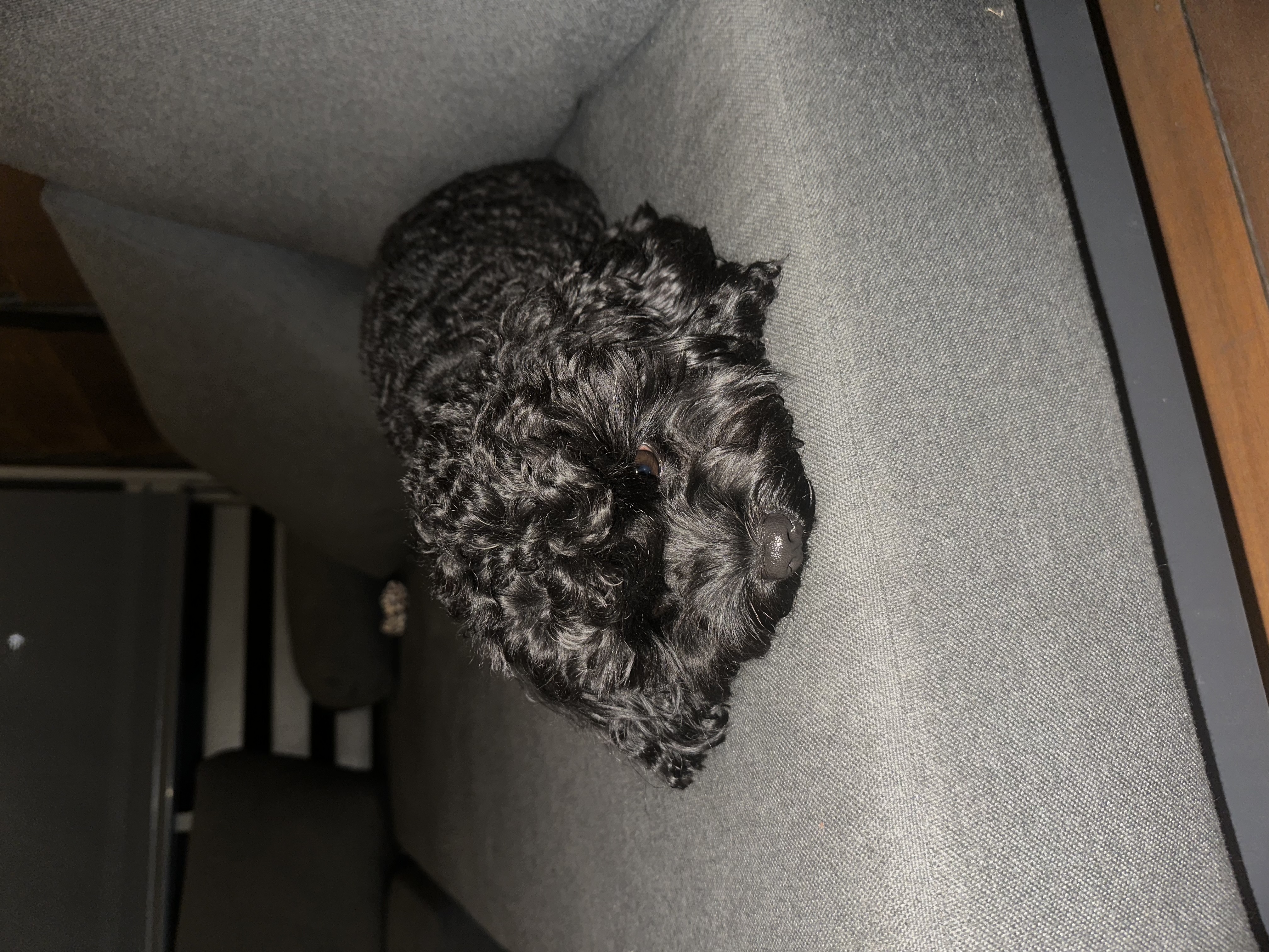 image-6