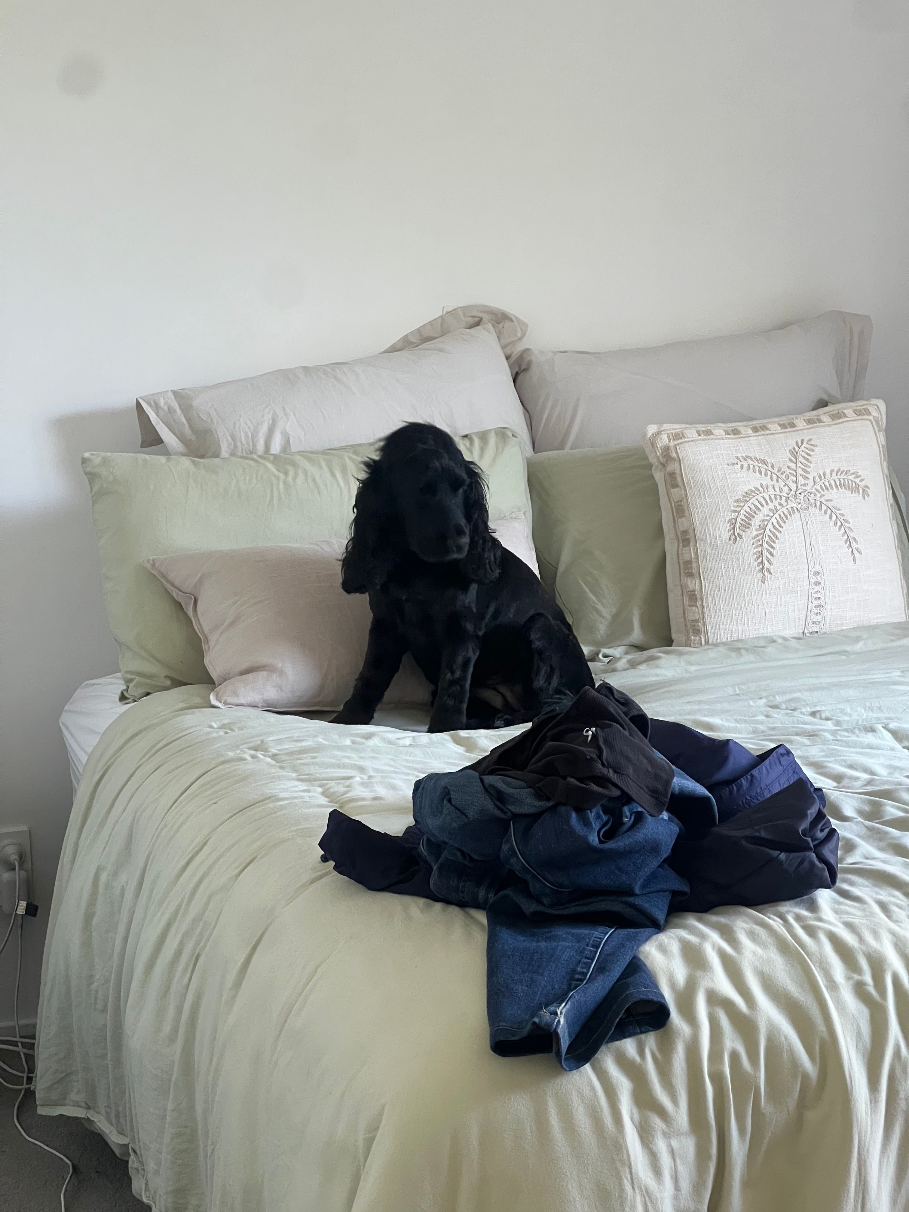 image-19