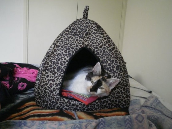 image-7