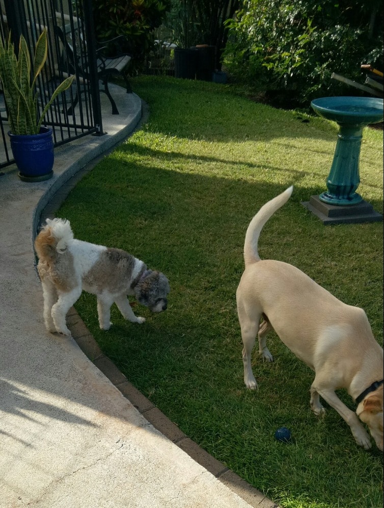image-3
