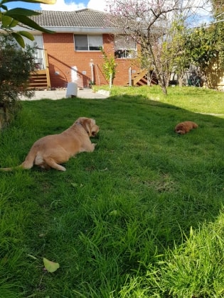 image-19