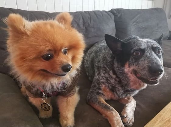 image-32
