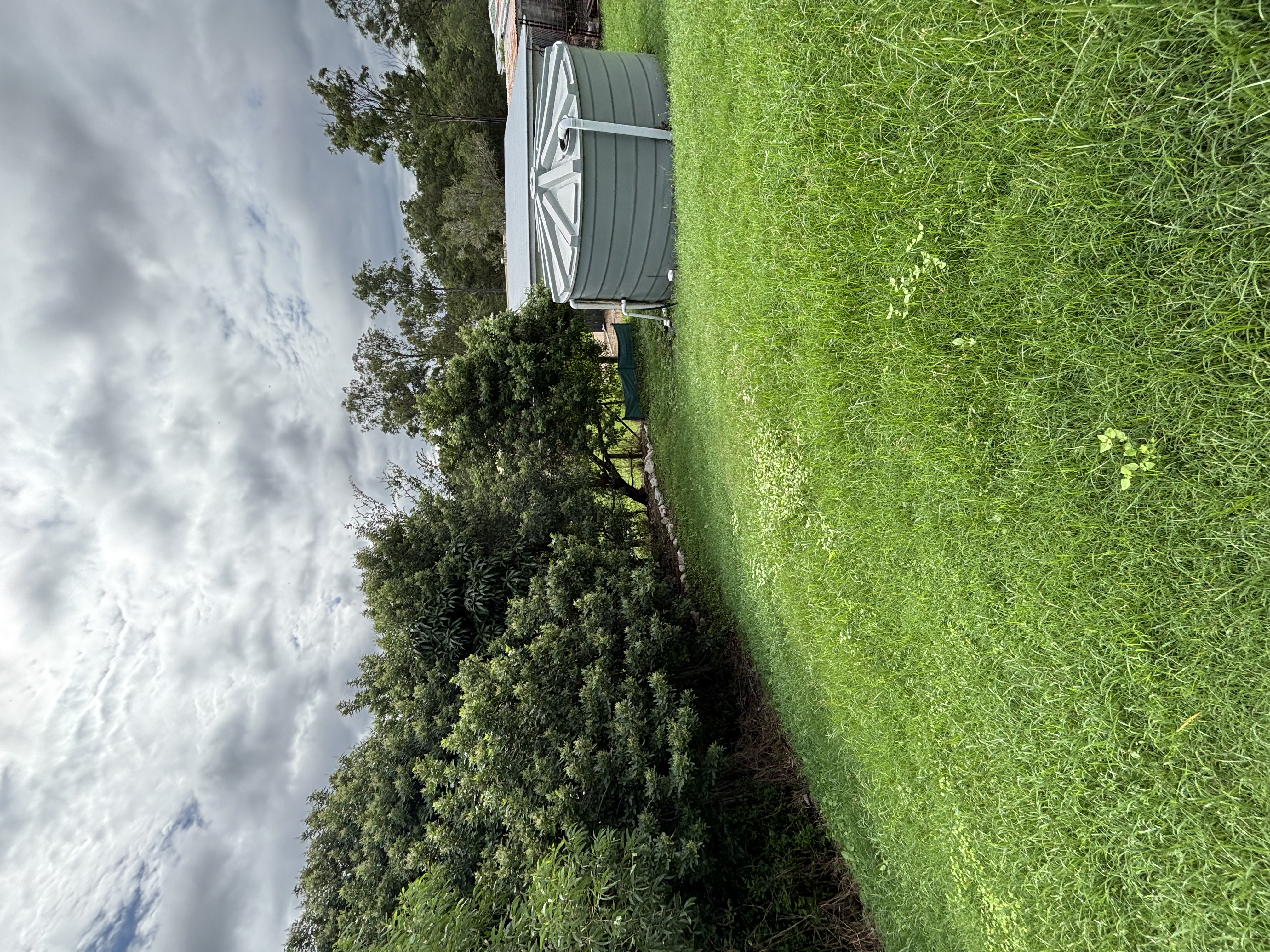 image-14