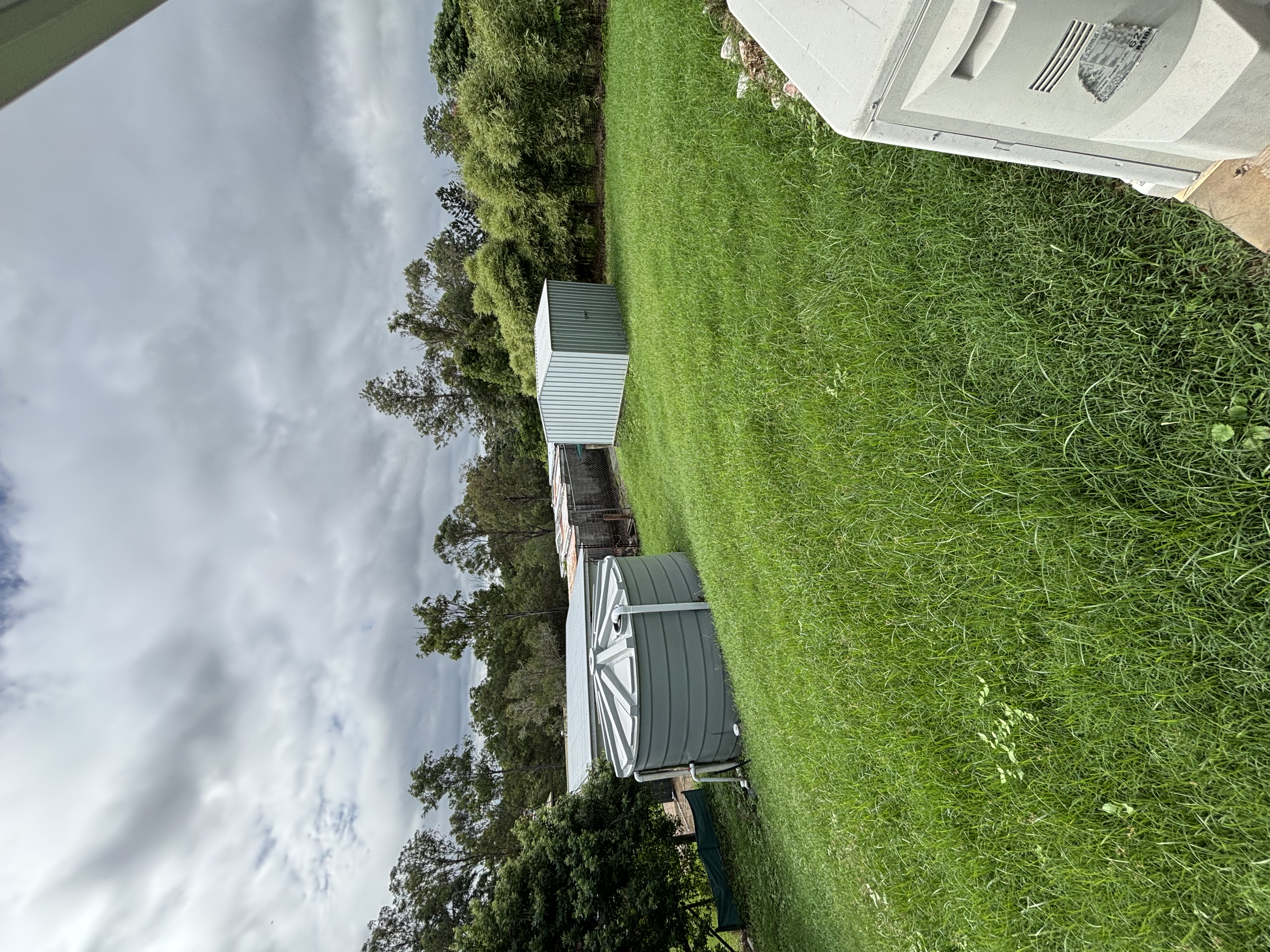 image-20