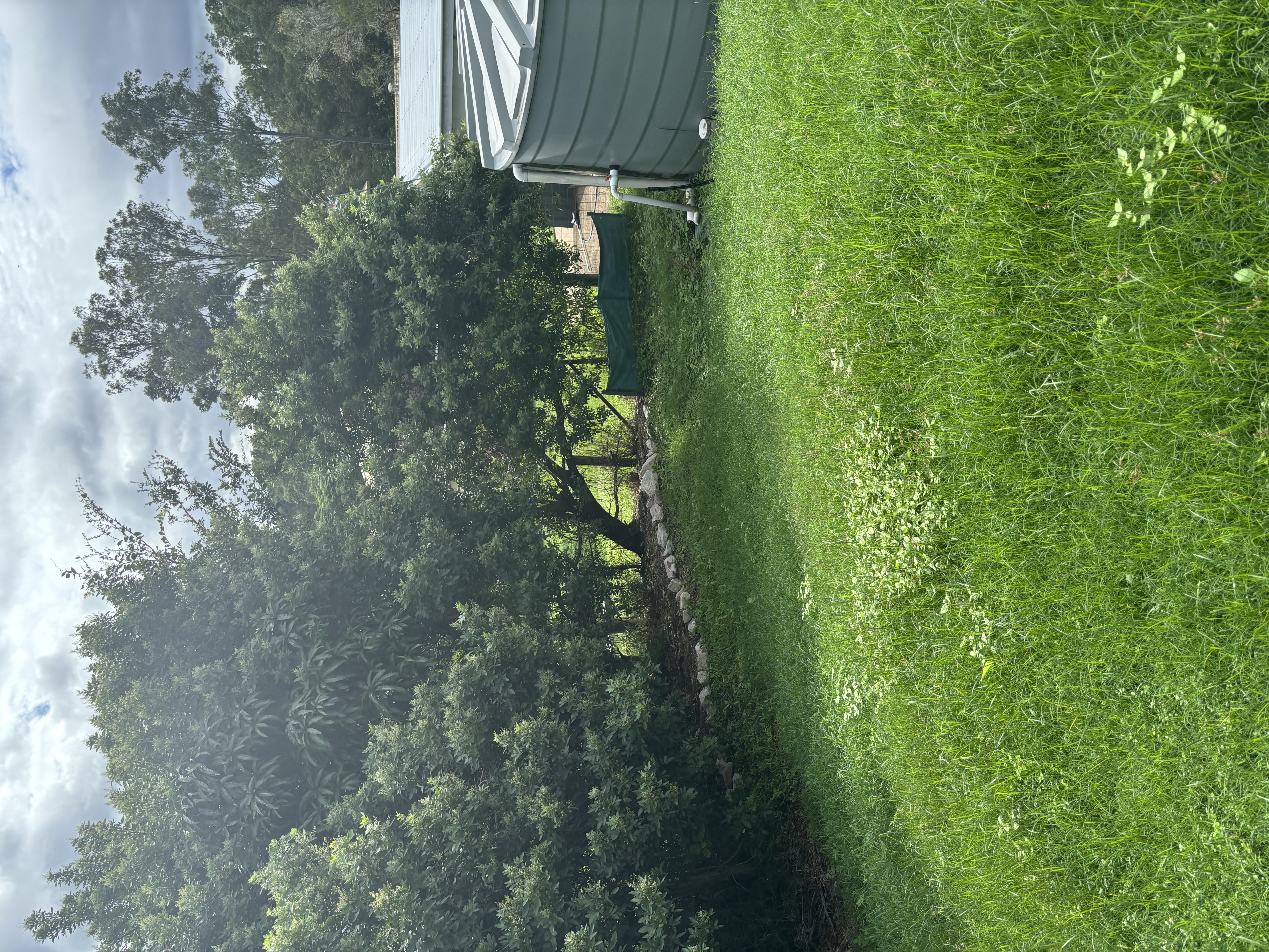 image-17
