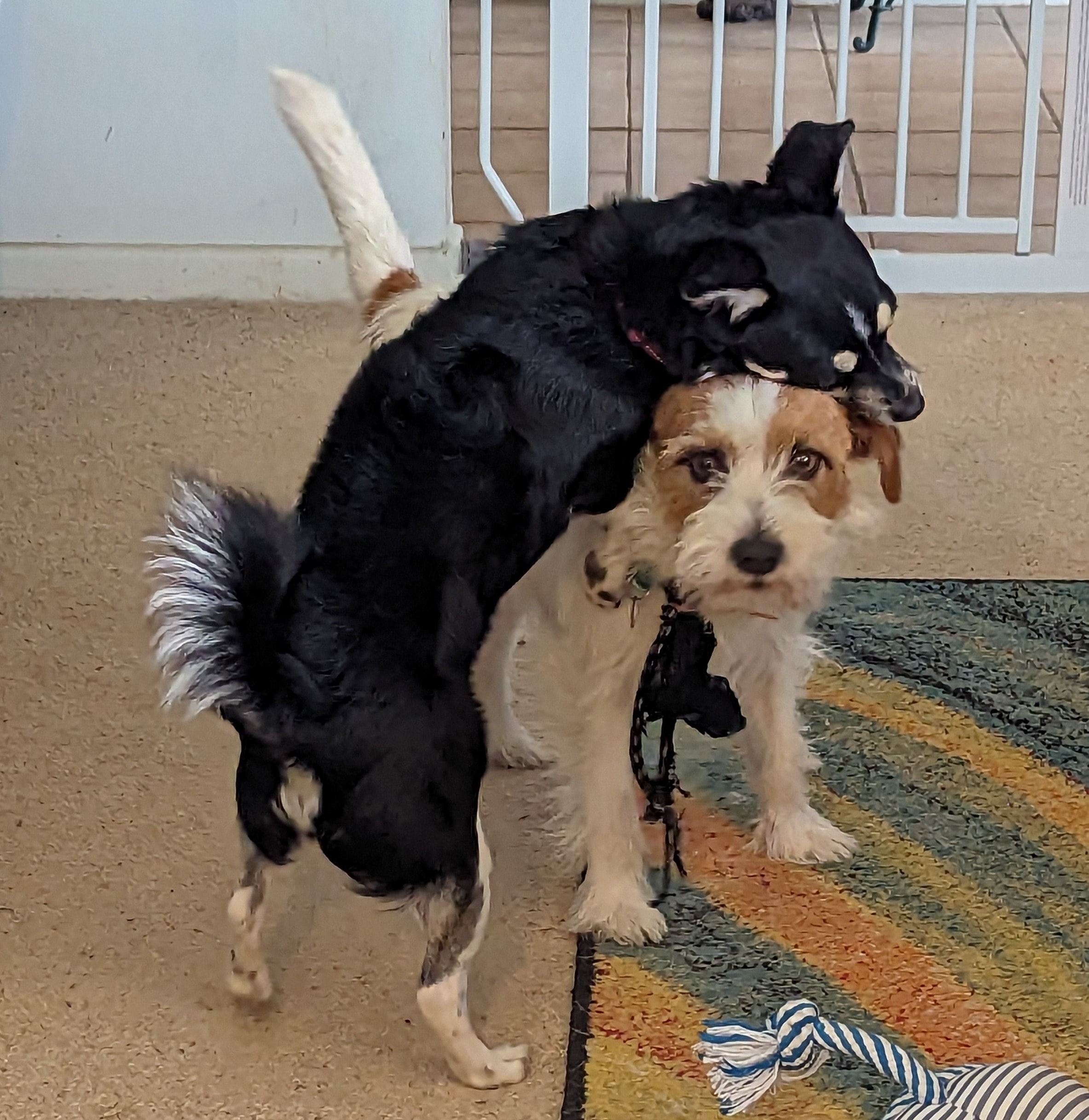 image-10